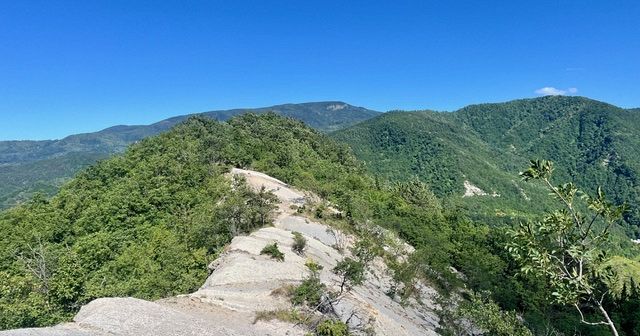 Forest Bathing Bagno di Romagna. Escursione guidata a Bagno di Romagna ...