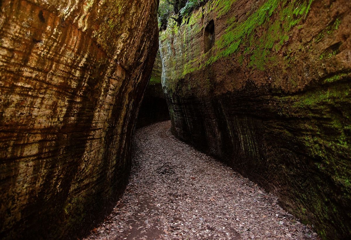 Escursione guidata lungo le Vie Cave,
      Toscana