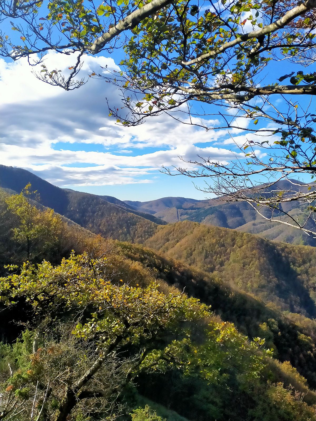 Gallery giorno 1
Foliage all'Acquerino Cantagallo
Toscana
trekking viaggio di più giorni a piedi