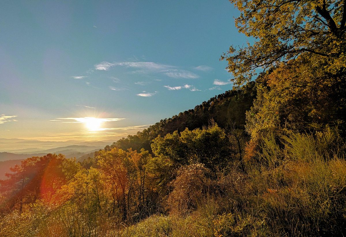 Escursione guidata su Monte Morello,
      Toscana
