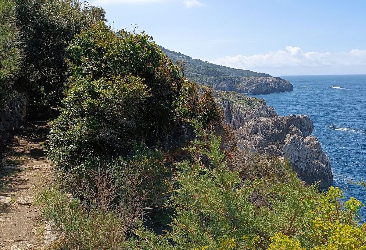 Gallery giorno 2
        Isola di Capri
        Campania
        trekking viaggio di più giorni a piedi