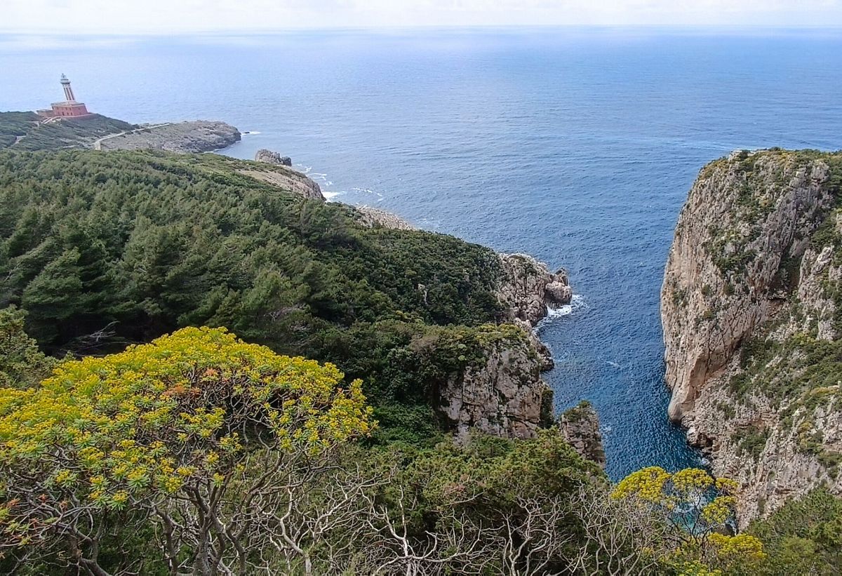 Gallery giorno 3
        Isola di Capri
        Campania
        trekking viaggio di più giorni a piedi