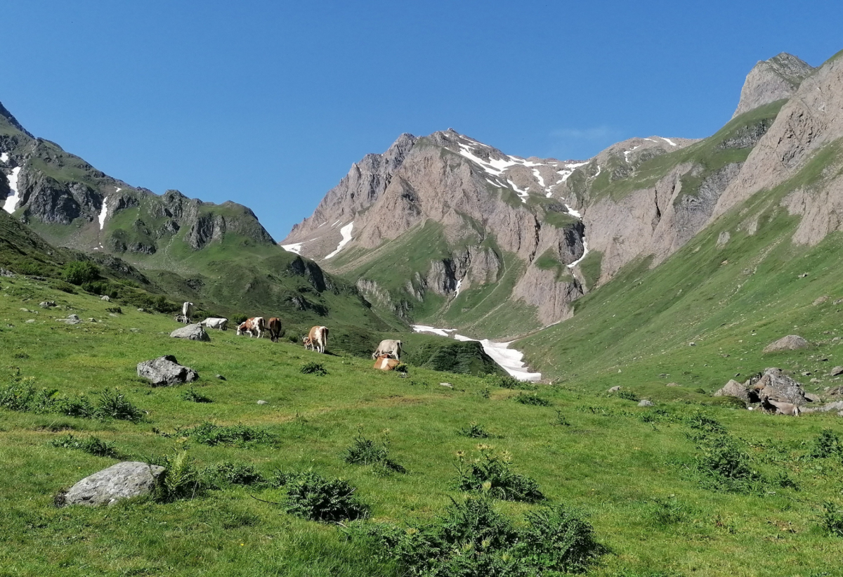 Gallery giorno 4
        Laghi alpini e Cascate
        Piemonte
        trekking viaggio di più giorni a piedi