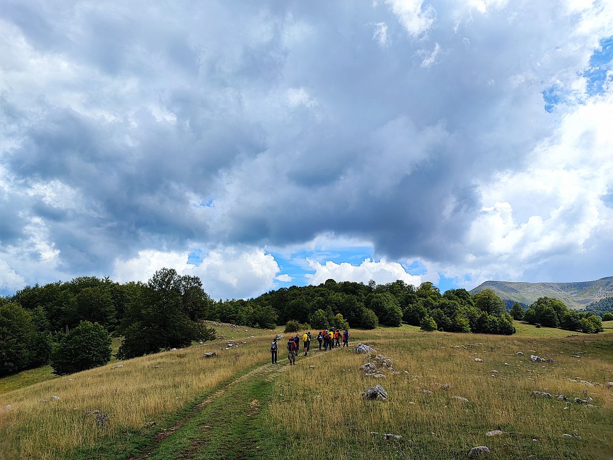 Gallery giorno 1
        Orsi e lupi d'Abruzzo
        Abruzzo
        trekking viaggio di più giorni a piedi