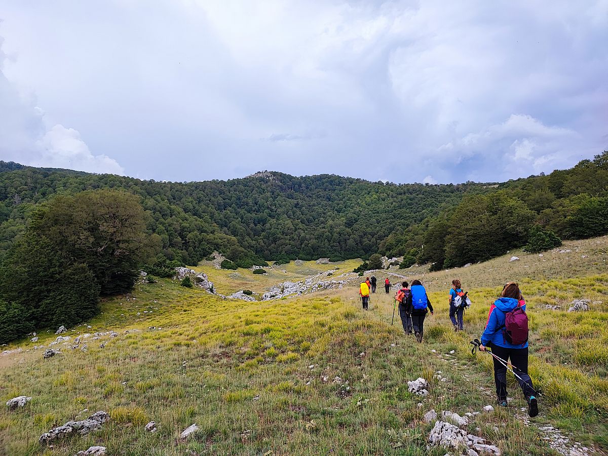 Gallery giorno 2
        Orsi e lupi d'Abruzzo
        Abruzzo
        trekking viaggio di più giorni a piedi