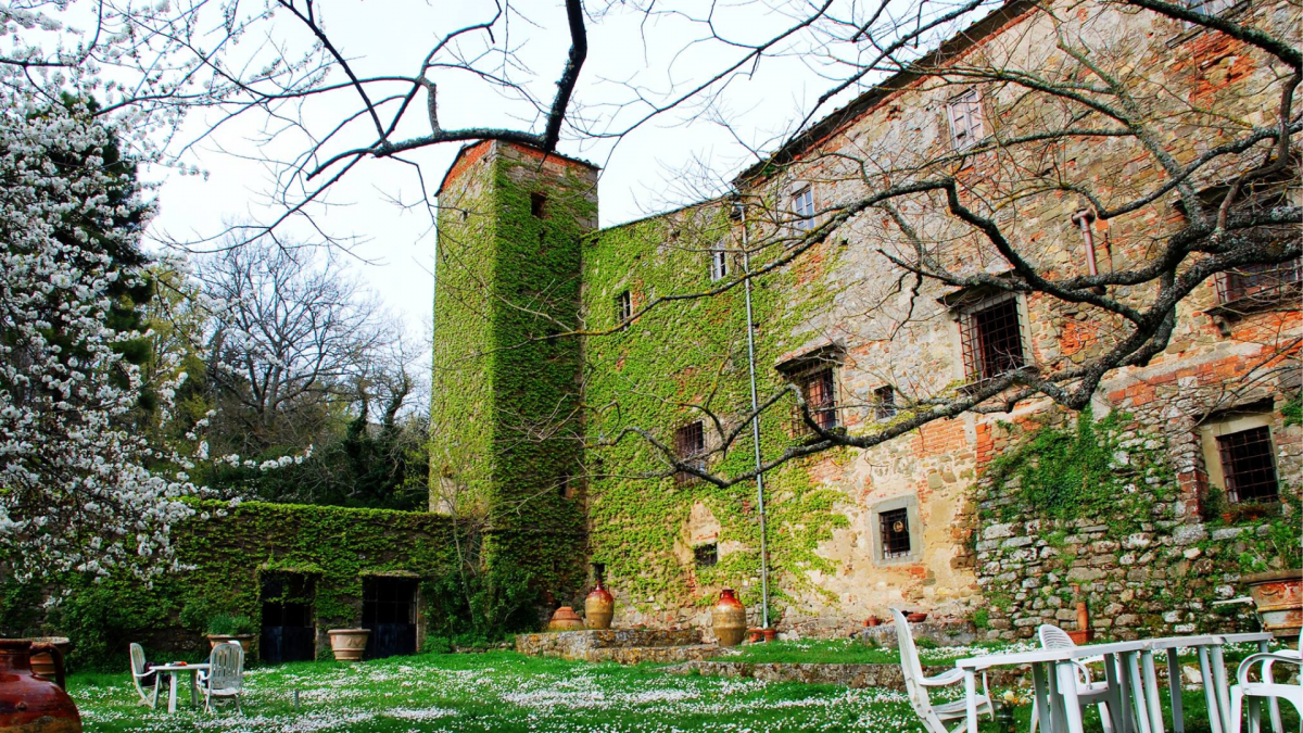 Escursione guidata nella storia della Badia di Montescalari,
      Toscana