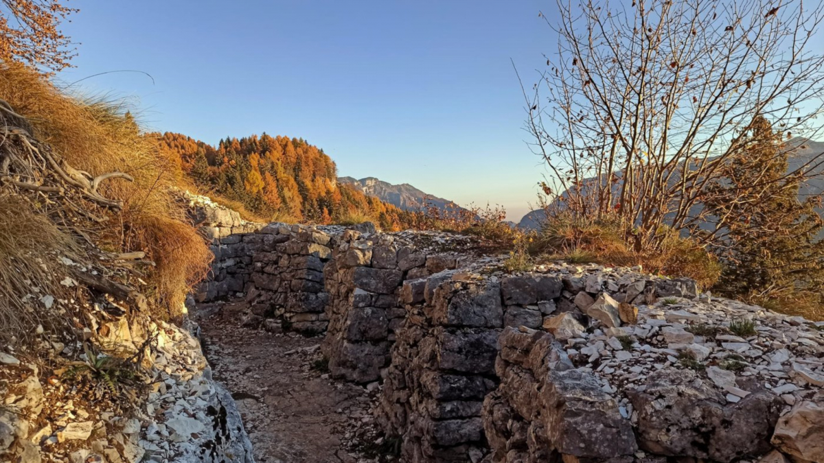 Escursione guidata alla Forra del Lupo,
      Trentino-Alto Adige