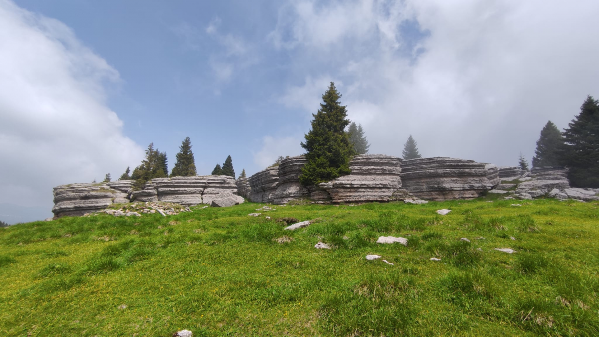 Escursione guidata alla città di roccia del Monte Fior (Altopiano dei Sette Comuni),
      Veneto