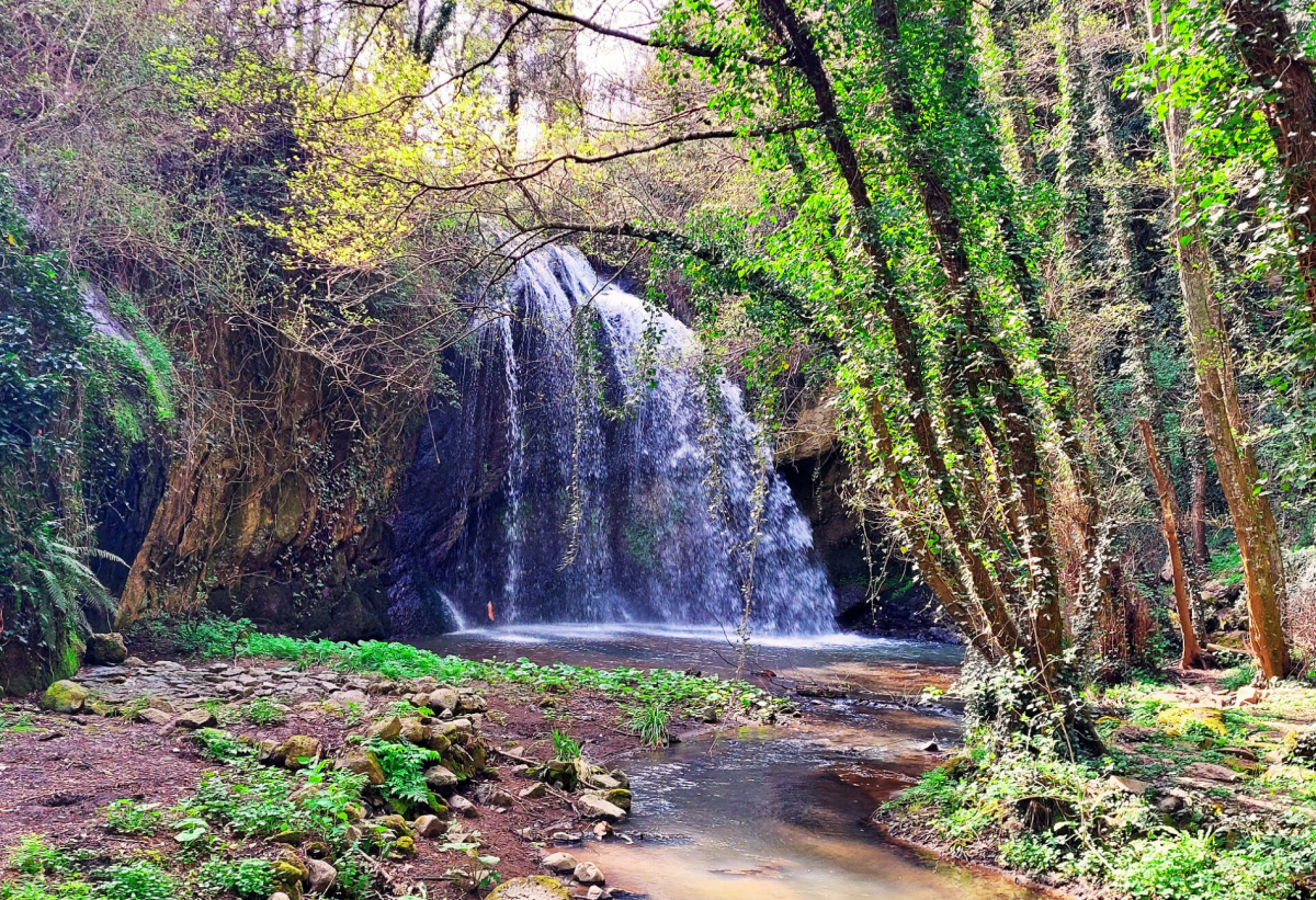 Escursione guidata nella Tuscia Viterbese,
      Lazio