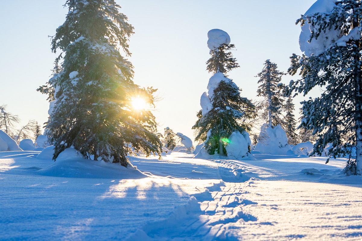 Gallery giorno 2
        Lapponia Selvaggia
        Finlandia
        trekking viaggio di più giorni a piedi