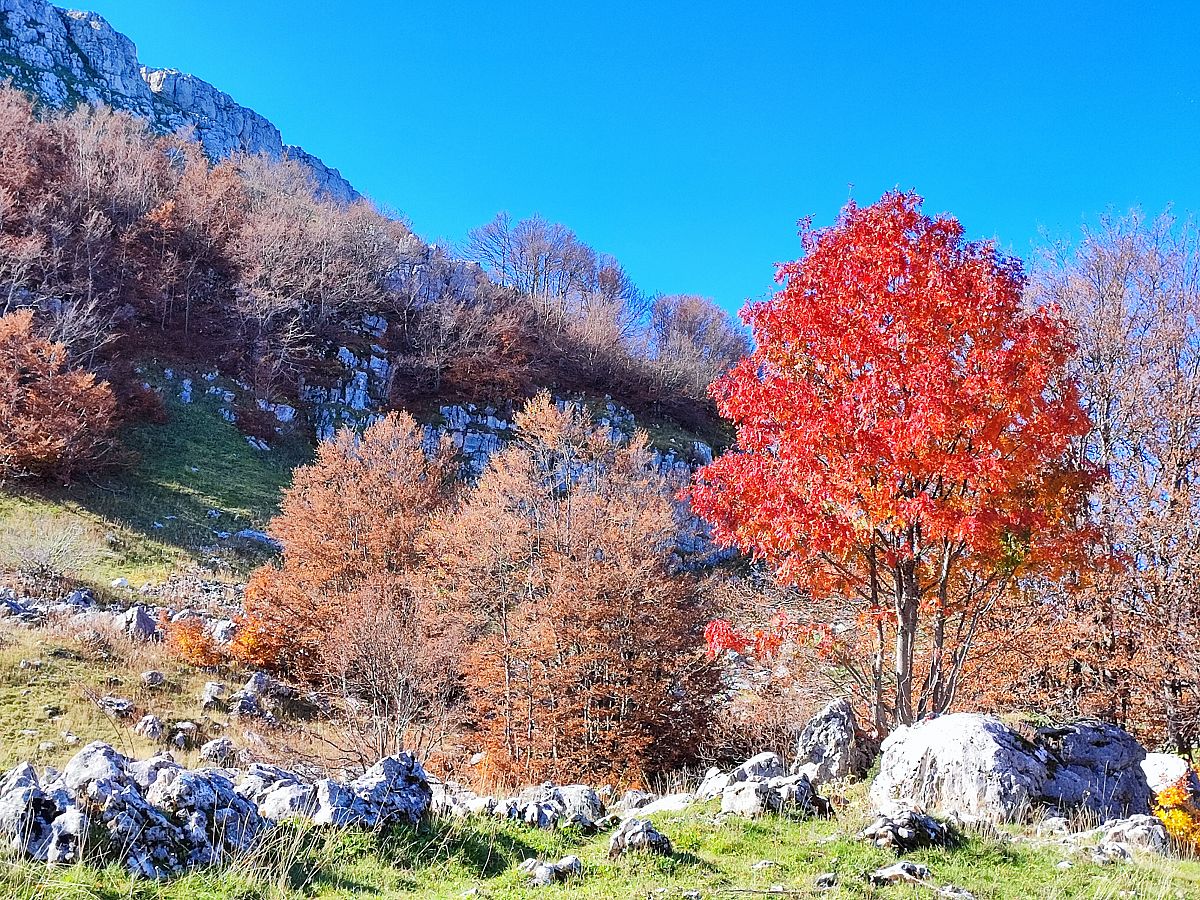 Escursione guidata nel Parco Regionale Sirente-Velino,
      Lazio