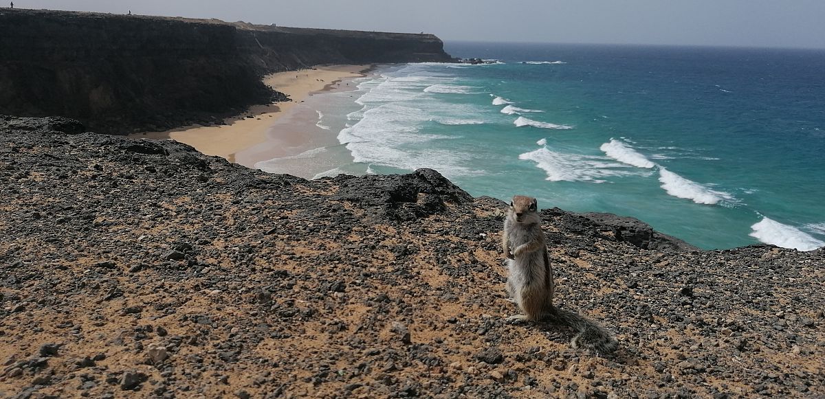 Viaggio wild a piedi a Fuerteventura,
      Estero/Nessuna