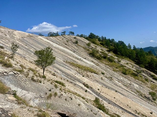 Escursione guidata al Lago di Poggio Baldi,
      Emilia-Romagna