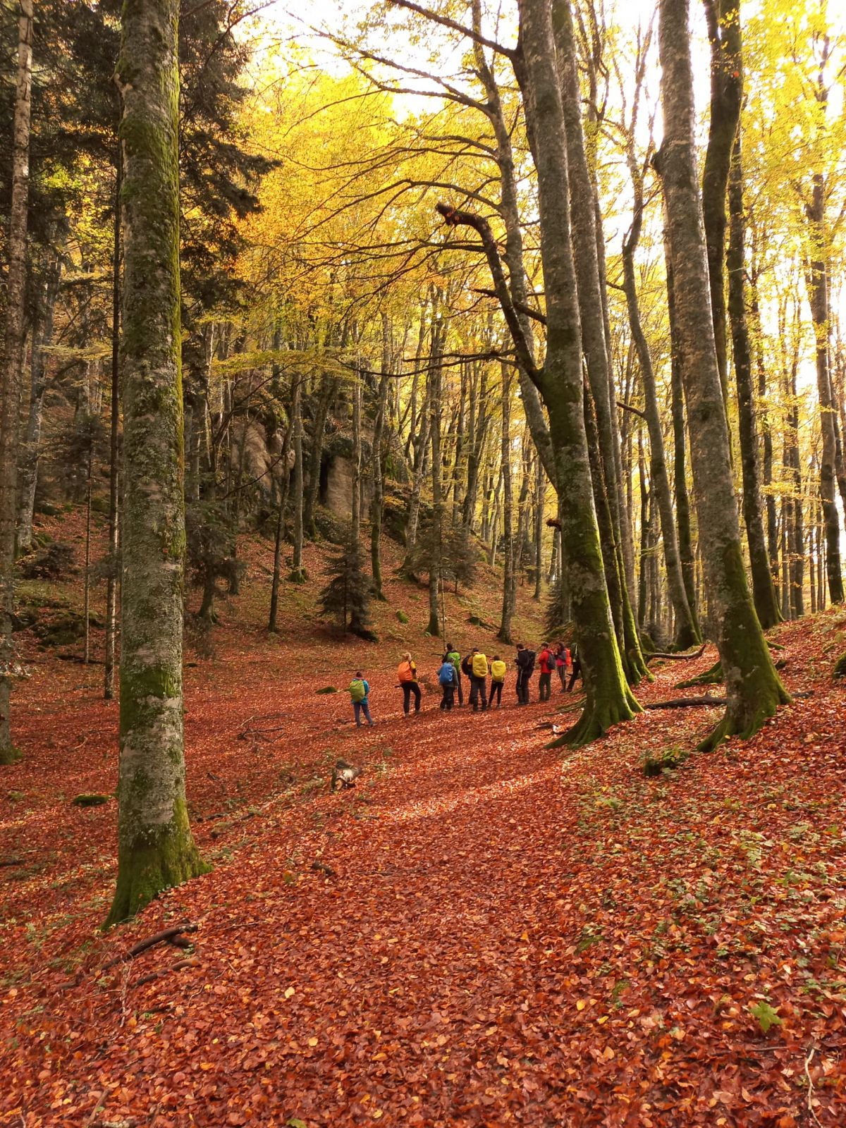 Escursione guidata a La Verna,
      Toscana