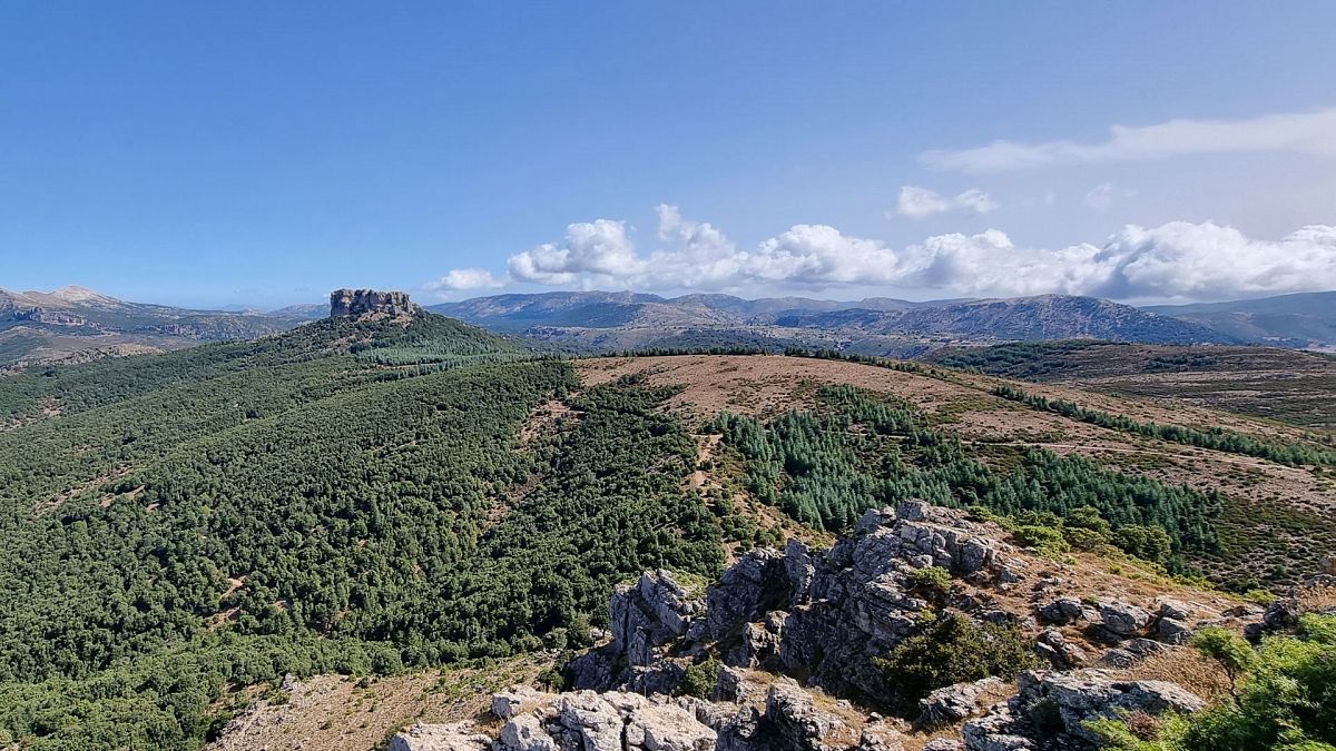 Escursione guidata in Supramonte,
      Sardegna