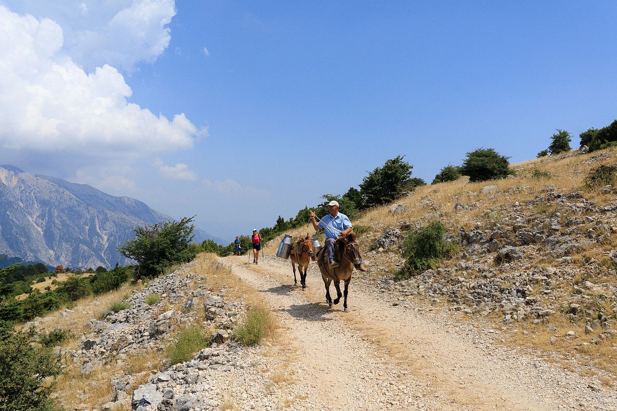 Gallery giorno 2
        ALBANIA
        Albania
        trekking viaggio di più giorni a piedi