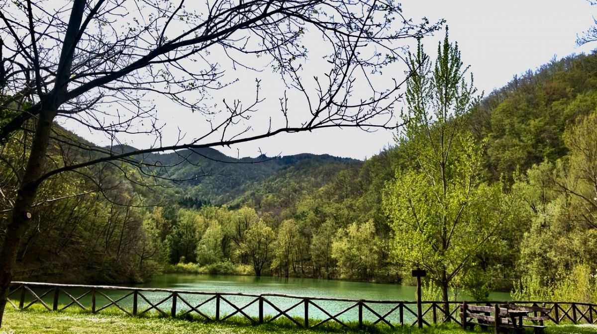 Escursione guidata nel Parco delle Foreste Casentinesi,
      Emilia-Romagna