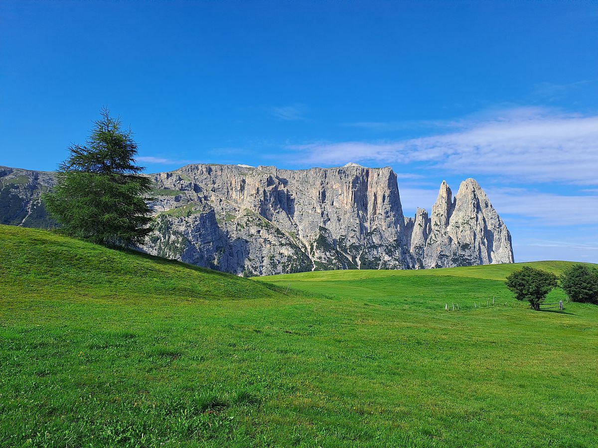 Viaggio a piedi guidato all'Alpe di Siusi,
      Trentino-Alto Adige
