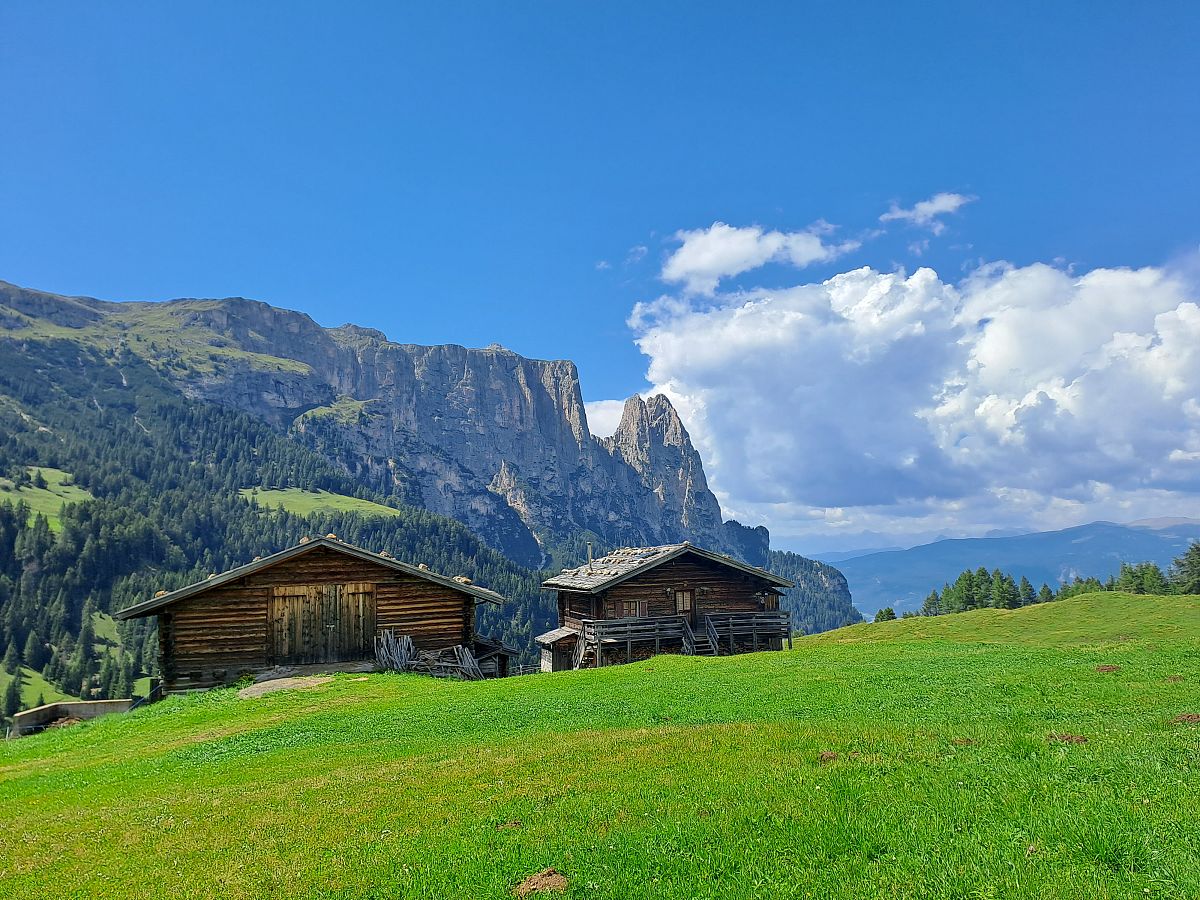 Gallery giorno 3
        Alpe di Siusi
        Trentino-Alto Adige
        trekking viaggio di più giorni a piedi