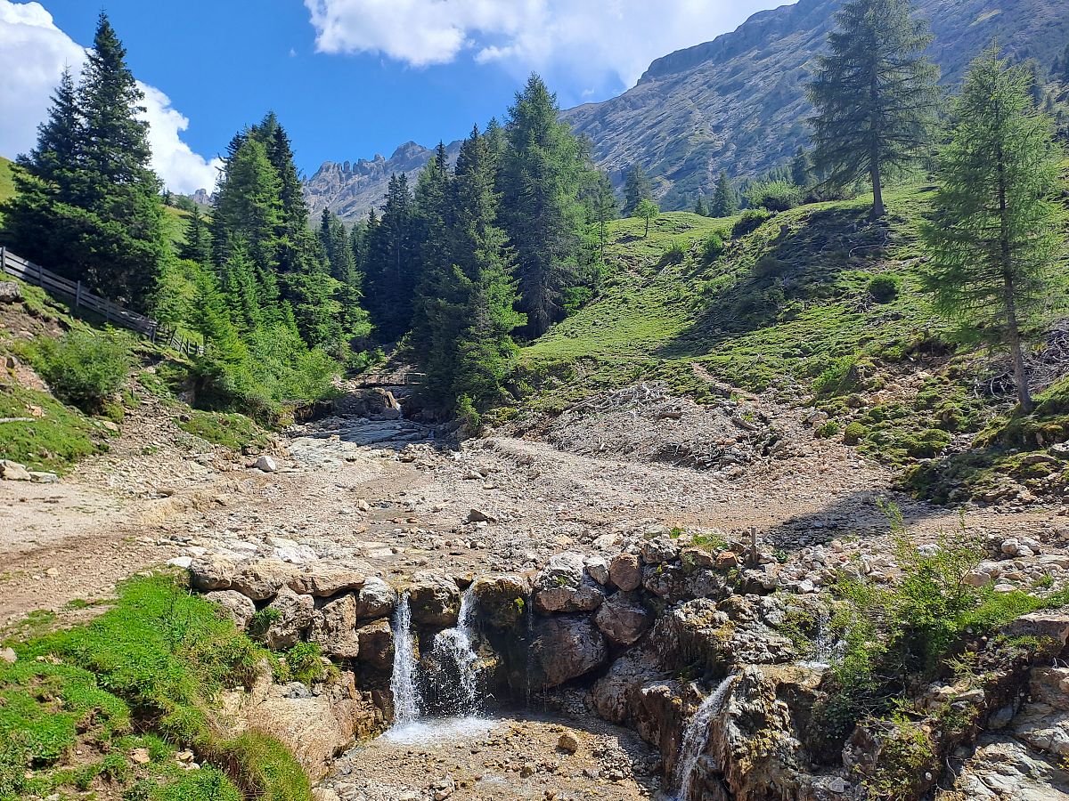 Gallery giorno 4
        Alpe di Siusi
        Trentino-Alto Adige
        trekking viaggio di più giorni a piedi