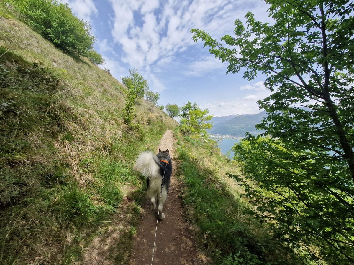 Gallery giorno 3
        Cammino dei Tre Laghi
        Lombardia
        trekking viaggio di più giorni a piedi