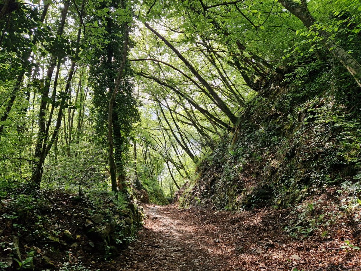 Gallery giorno 4
        Cammino dei Tre Laghi
        Lombardia
        trekking viaggio di più giorni a piedi