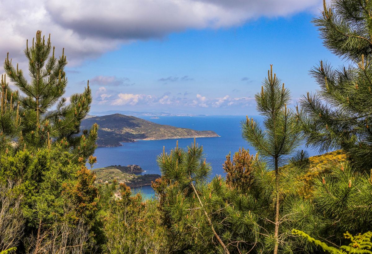 Gallery giorno 4
        Capodanno Elbano
        Toscana
        trekking viaggio di più giorni a piedi