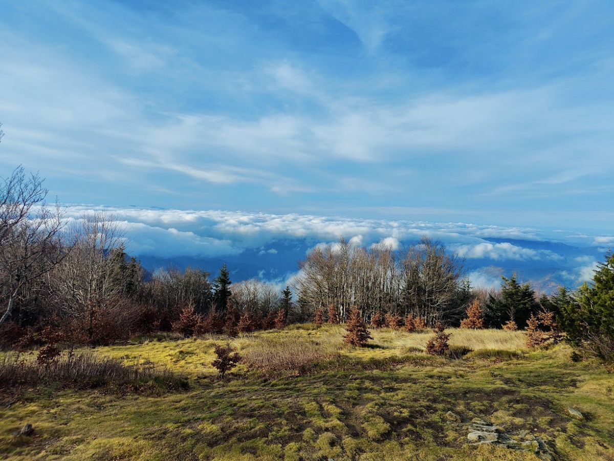 Escursione guidata in Casentino,
Toscana