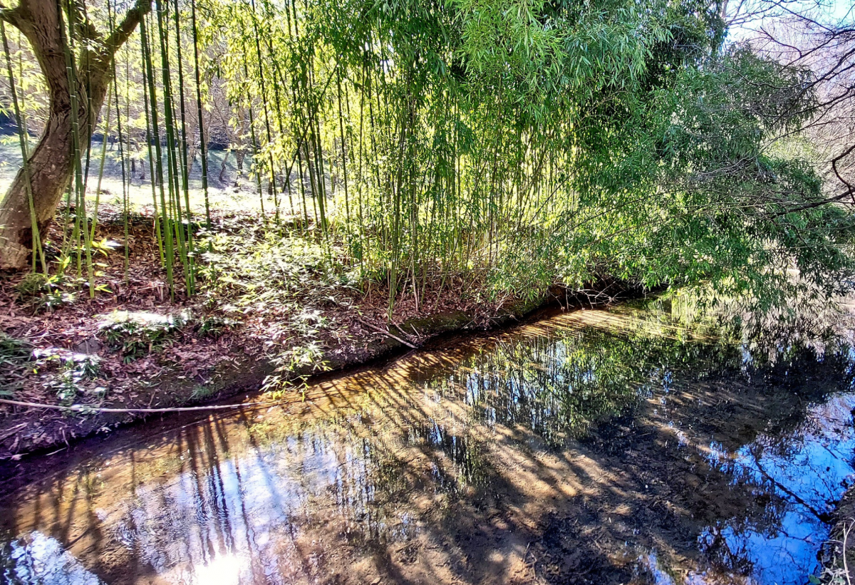 Escursione guidata al Parco di Turona,
Lazio