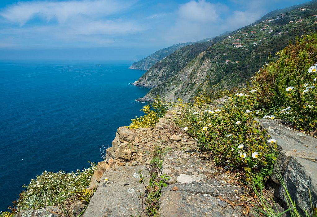 Creuza de ma Costa di Tramonti
    Escursione giornaliera a piedi di gruppo
    Liguria