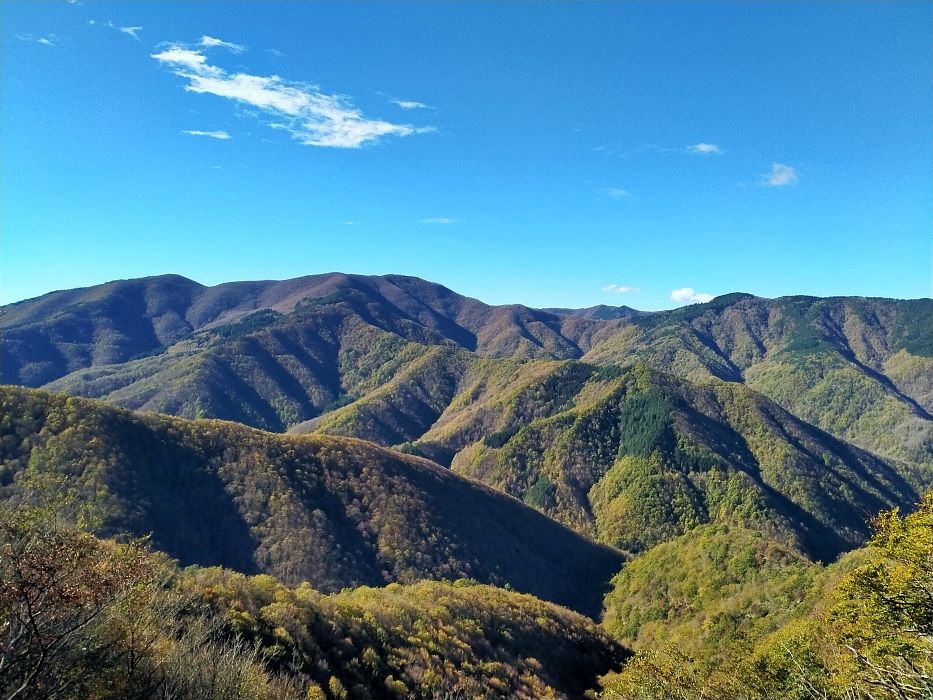 Trekking Foliage all'Acquerino Cantagallo
Viaggio a piedi di gruppo
Toscana