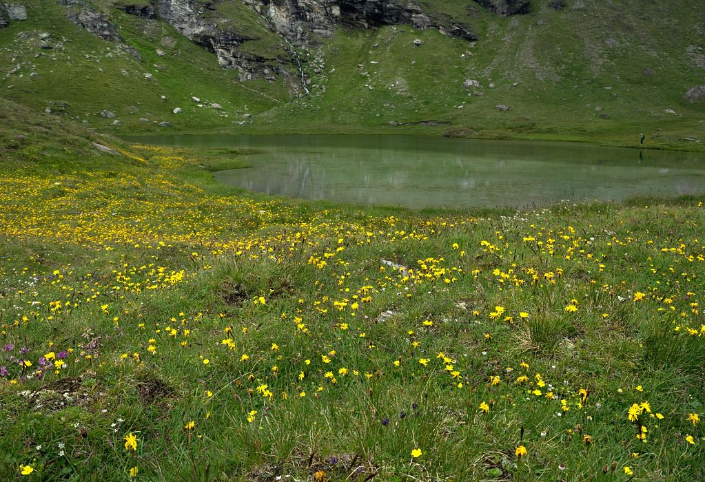Magia dei Laghi: Streghe & Palasinaz
    Escursione giornaliera a piedi di gruppo
    Valle d'Aosta