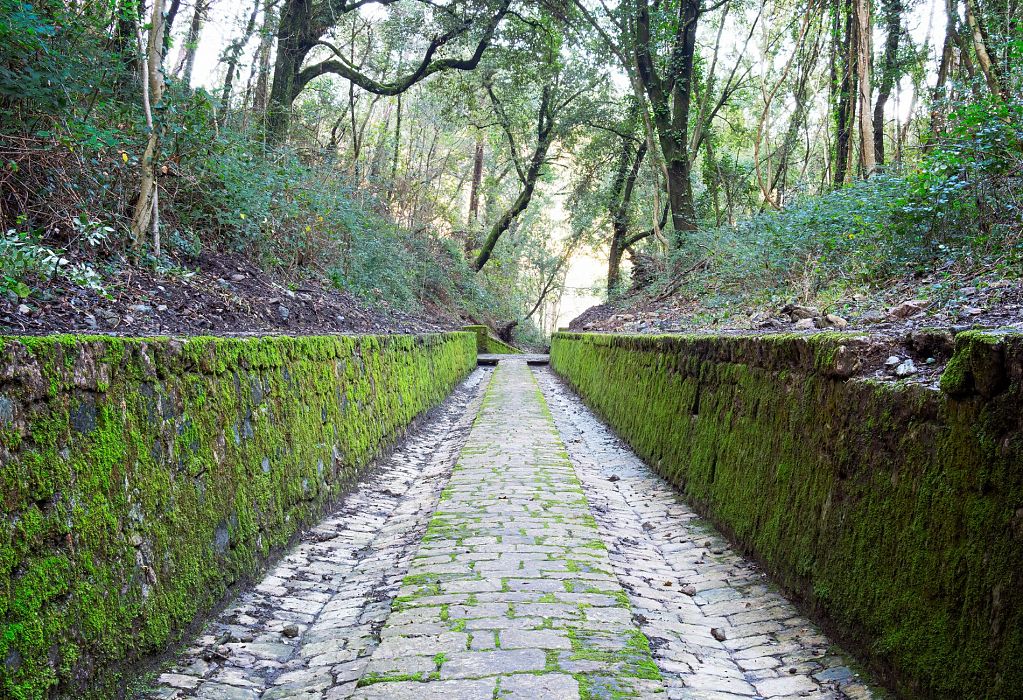 L’utile bellezza: l’acquedotto di Colognole
    Escursione giornaliera a piedi di gruppo
    Toscana