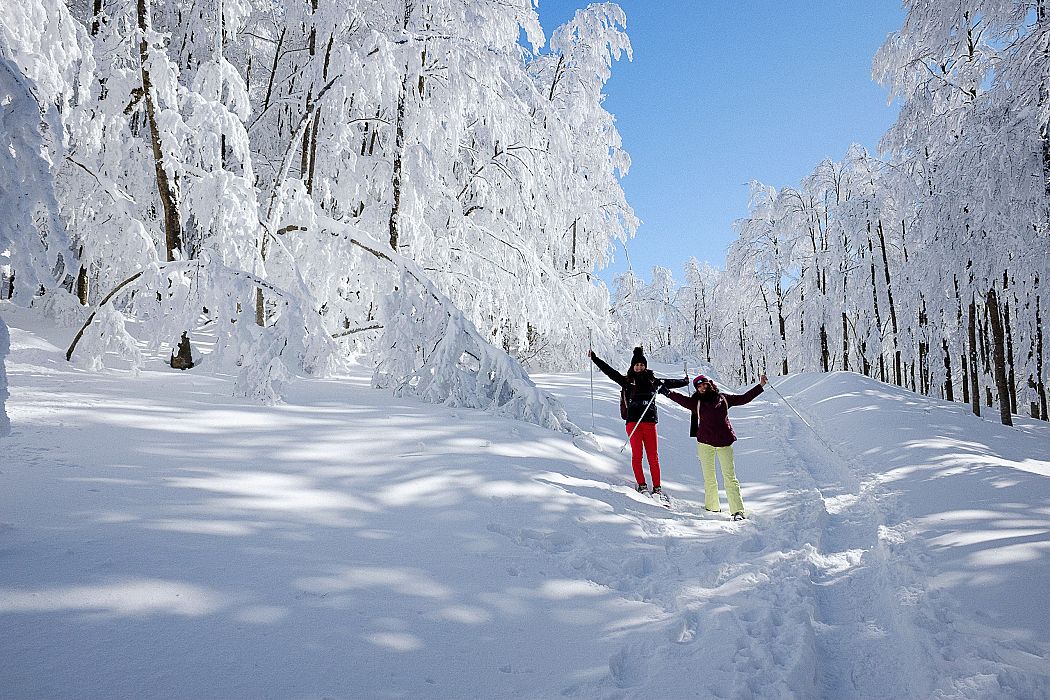 Ciaspolata Libro Aperto
    Escursione giornaliera a piedi di gruppo
    Toscana