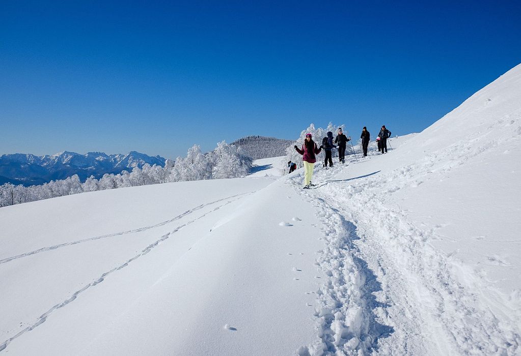Ciaspolata al Monte Gomito
    Escursione giornaliera a piedi di gruppo
    Toscana