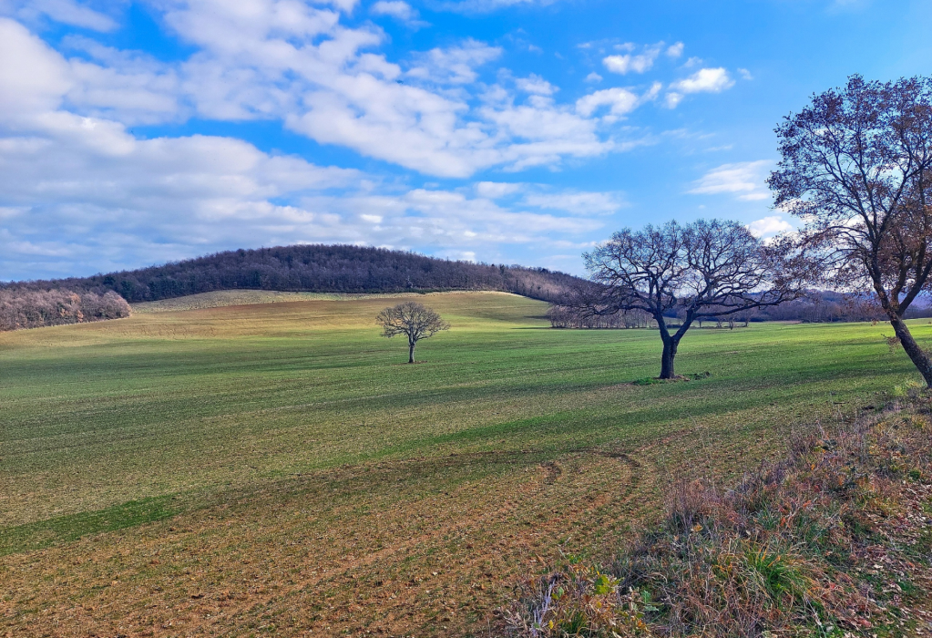 Il Parco di Turona
Escursione giornaliera a piedi di gruppo
Lazio