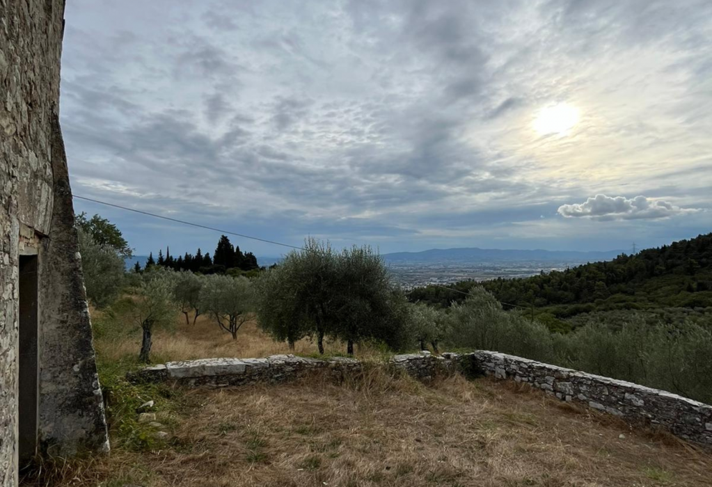 Andare a Gusto - Monte Morello
    Escursione giornaliera a piedi di gruppo
    Toscana