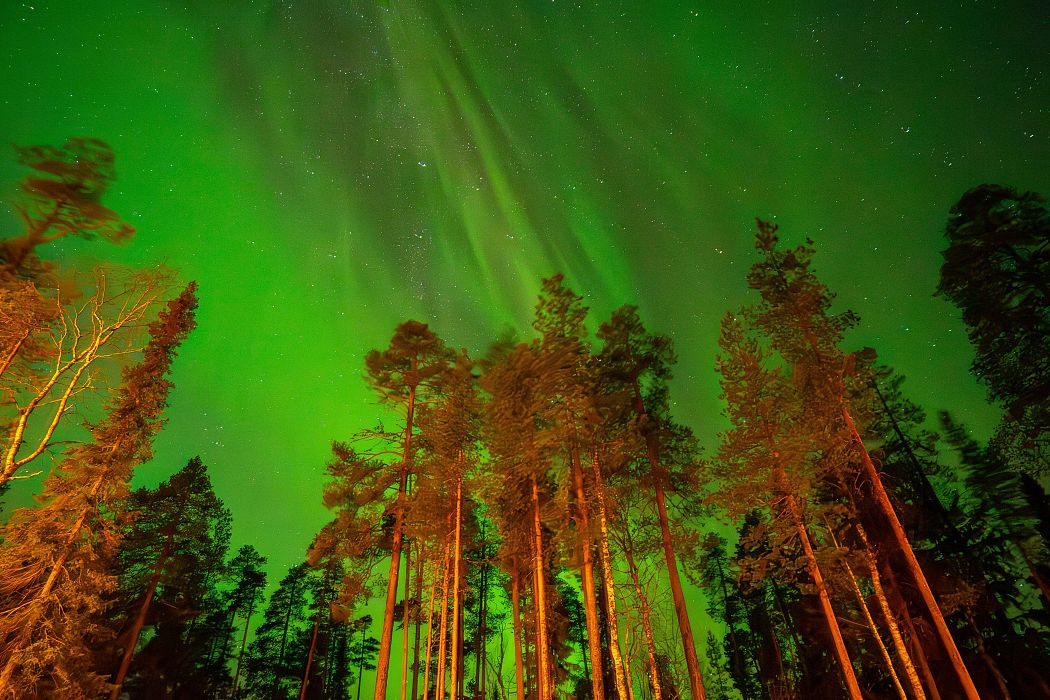 Trekking Lapponia Selvaggia
    Viaggio a piedi di gruppo
    Finlandia