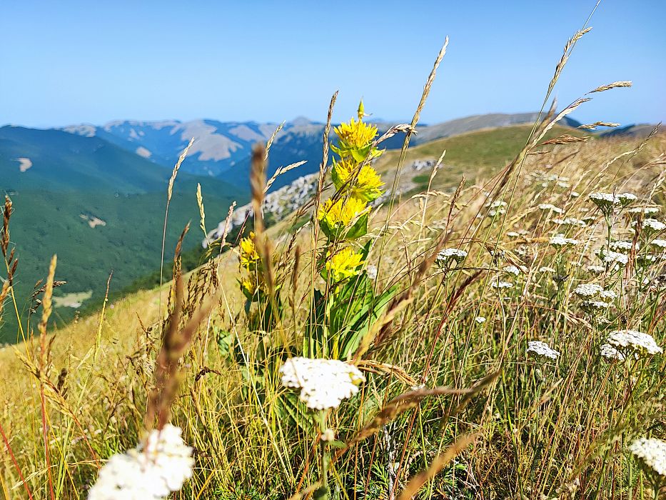 Il Monte di Cambio
    Escursione giornaliera a piedi di gruppo
    Lazio