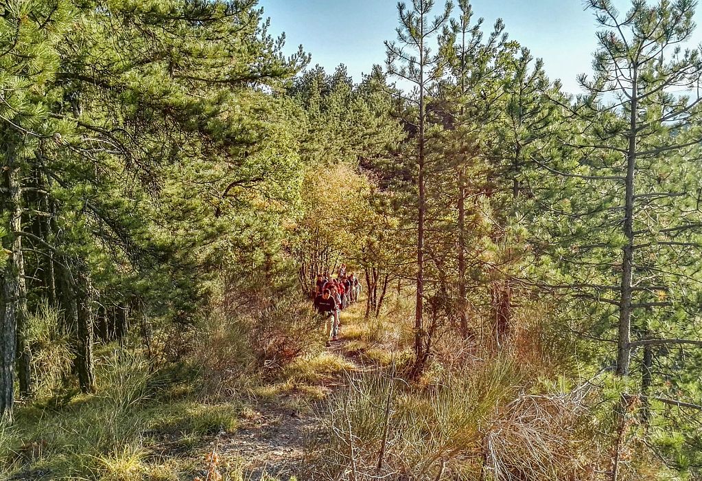 Trekking IN-SPIRAL RETREAT A CAMALDOLI
    Viaggio a piedi di gruppo
    Toscana