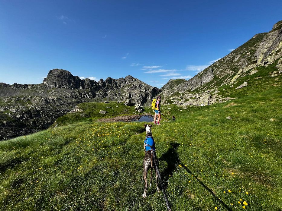 Trekking Val Gerola: una valle tutta da scoprire
    Viaggio a piedi di gruppo
    Lombardia