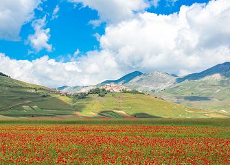 Viaggio di gruppo a piedi: Fioriture a Castelluccio
Umbria trekking