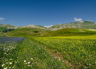 Viaggio di gruppo a piedi: Fioriture a Castelluccio
Umbria trekking