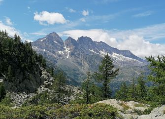 Viaggio di gruppo a piedi: Trekking nel Gran Paradiso
Piemonte trekking