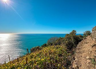 Viaggio di gruppo a piedi: Discover 5 Terre
Liguria trekking
