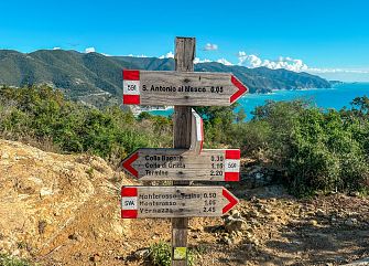 Viaggio di gruppo a piedi: Discover 5 Terre
Liguria trekking