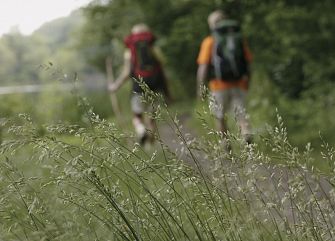 Viaggio di gruppo a piedi: Gipsy Travel Mugello
Toscana trekking