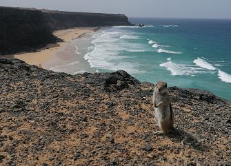 Viaggio di gruppo a piedi: Fuerteventura Selvaggia
Estero/Nessuna trekking