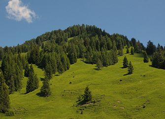 Viaggio di gruppo a piedi: Tre cime di Lavaredo express
Veneto trekking
