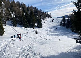 Viaggio di gruppo a piedi: Ciaspolata ad Asiago
Veneto trekking